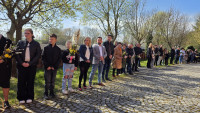 powiększ zdjęcie 