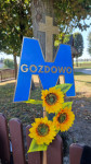 powiększ zdjęcie