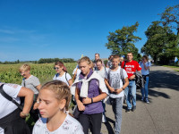 powiększ zdjęcie 