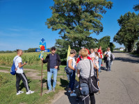 powiększ zdjęcie 