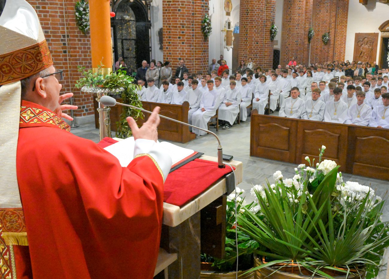 Read more about the article Dzień Lektora